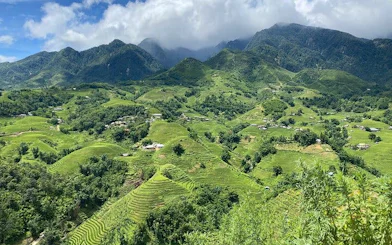 Sapa terraced rice fields with mountains, ideal for trekking and Dzay homestay experience.