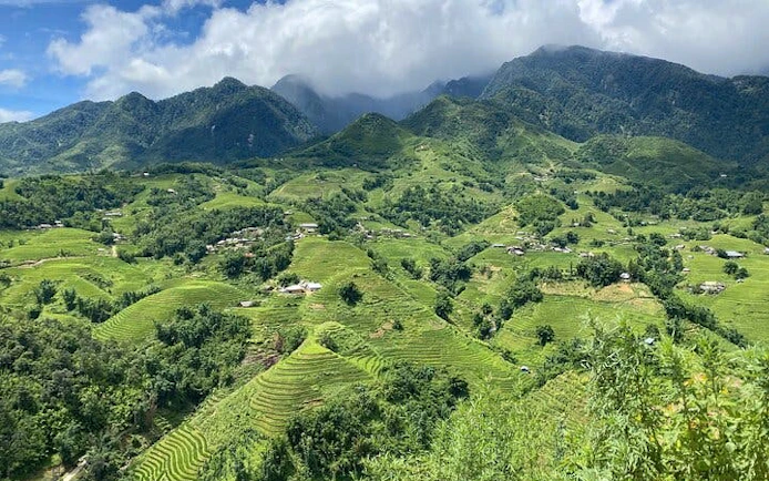 Sapa terraced rice fields with mountains, ideal for trekking and Dzay homestay experience.