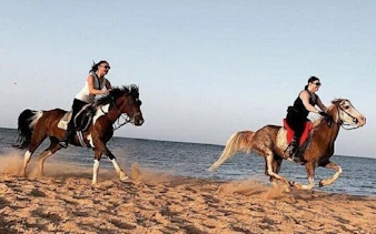 Horseback riding along Red Sea beach in Hurghada.
