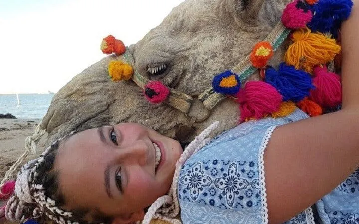 Camel ride experience with colorful decorations on the beach in Sharm El Sheikh.