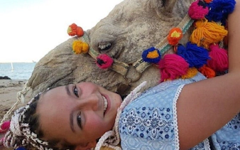 Camel ride experience with colorful decorations on the beach in Sharm El Sheikh.