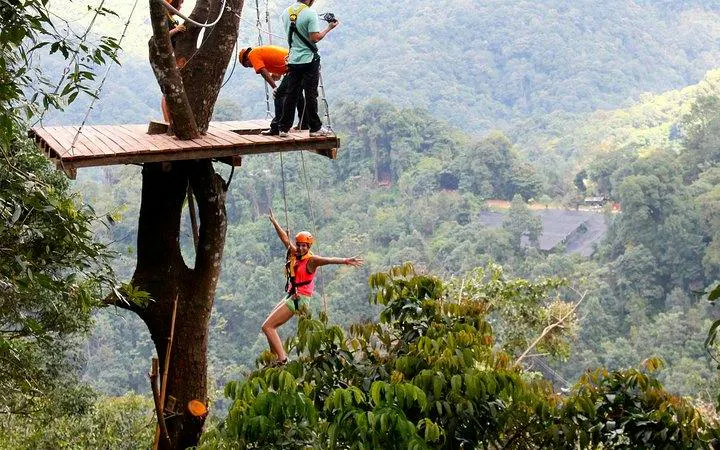 Person ziplining through jungle canopy in Chiang Mai, Thailand.