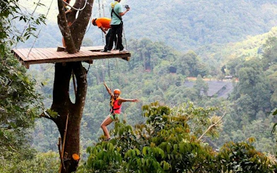 Person ziplining through jungle canopy in Chiang Mai, Thailand.