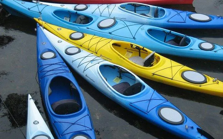Kayaks lined up for Key Largo mangrove adventure, Miami.