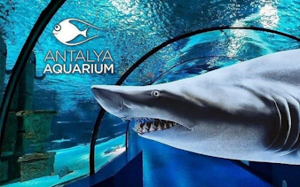 all-inclusive-tour zum alanya aquarium und fun park mit abholung vom hotel-6