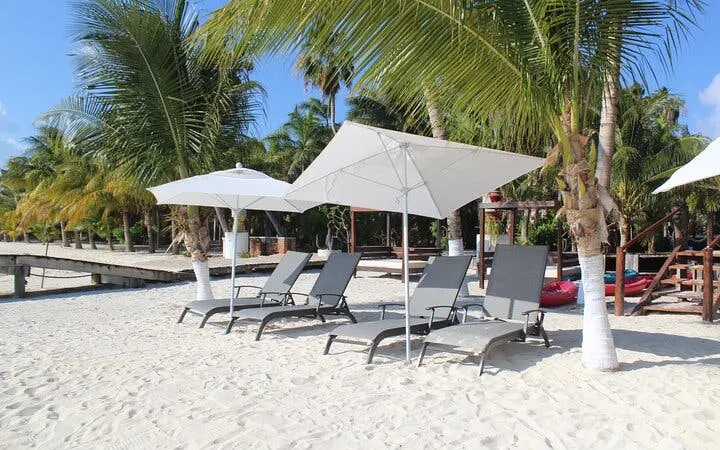 Sun loungers and umbrellas on sandy beach, Isla Mujeres catamaran tour.