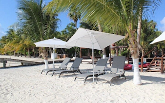 Sun loungers and umbrellas on sandy beach, Isla Mujeres catamaran tour.