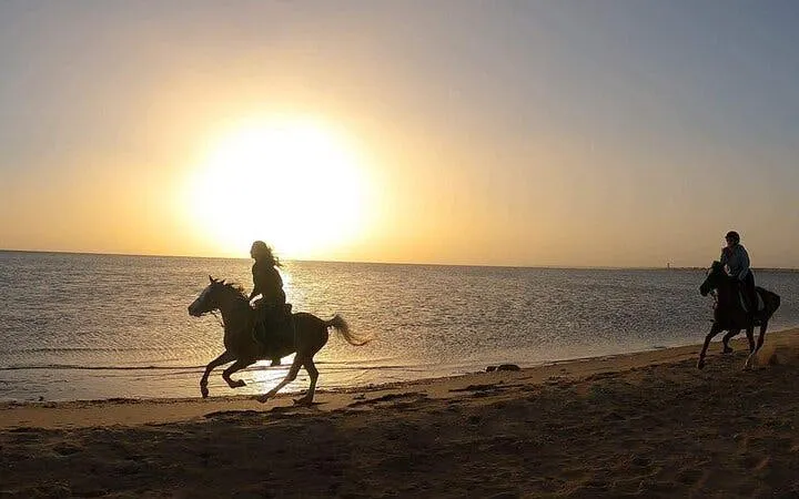 Horseback riders at sunrise along the Red Sea shore in Hurghada desert.
