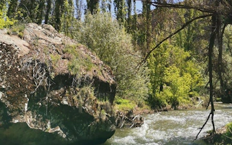 River flowing through lush greenery in Cappadocia, Turkey, part of a guided multi-day tour.