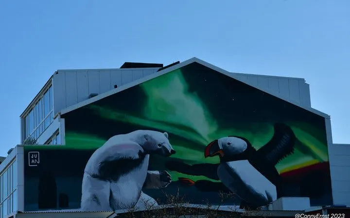 Reykjavik Street Art Guided Walking Tour Through Hidden Alleys and Neighborhoods