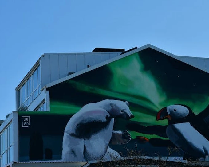 Reykjavik Street Art Guided Walking Tour Through Hidden Alleys and Neighborhoods (Product 53581)