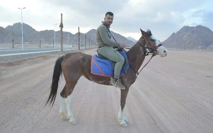 Horseback rider in Sharm El Sheikh desert with mountains in background.