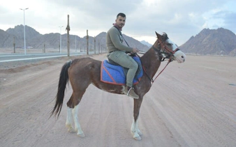 Horseback rider in Sharm El Sheikh desert with mountains in background.