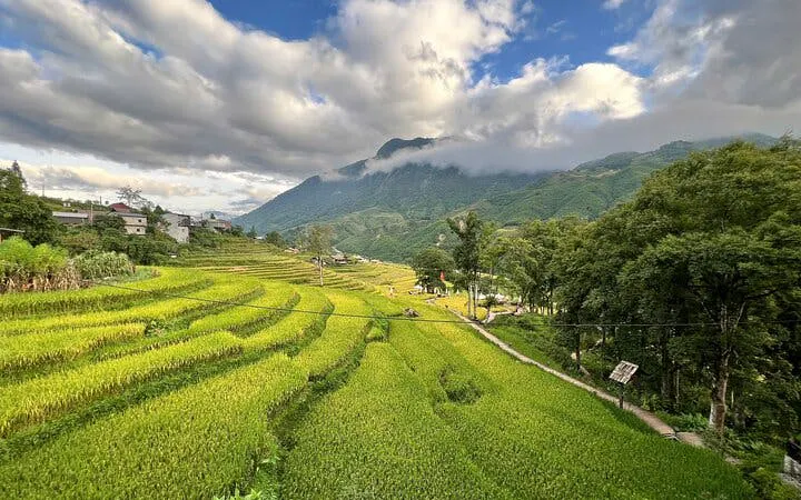 Terraced rice fields in Muong Hoa Valley, Sapa, with mountains and cloudy sky.