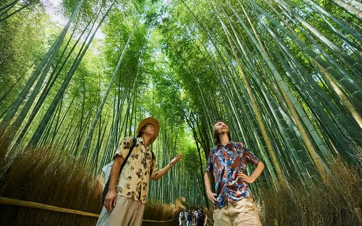Tourists exploring the bamboo grove in Arashiyama, Kyoto during a UNESCO walking tour.