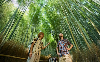 Tourists exploring the bamboo grove in Arashiyama, Kyoto during a UNESCO walking tour.