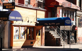Terra Blues and The Bitter End venues in Manhattan's vibrant music scene.