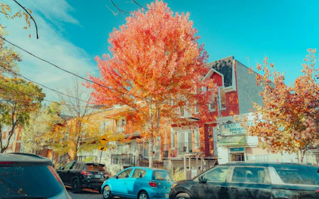 Montreal Plateau and Mile End Self-Guided Audio Walk: Bagels, Smoked Meat and Outside Staircases