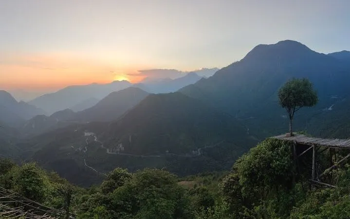 Lonely tree on a platform overlooking mountains at sunset, Silver Waterfall tour.