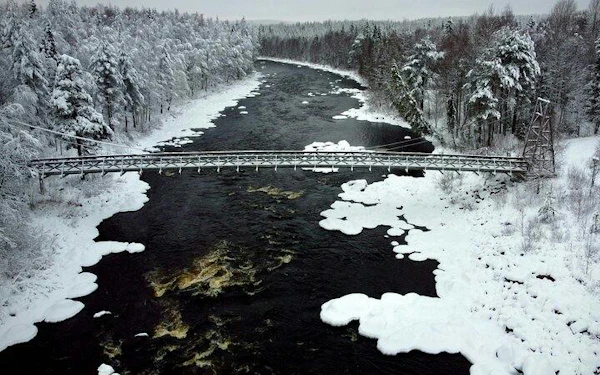 From Rovaniemi: Santa Claus Village and Vikakongas Nature Reserve Tour