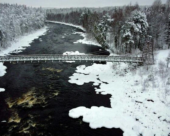 From Rovaniemi: Santa Claus Village and Vikakongas Nature Reserve Tour