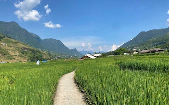 Path through rice fields in Sapa with mountains and village in the background.