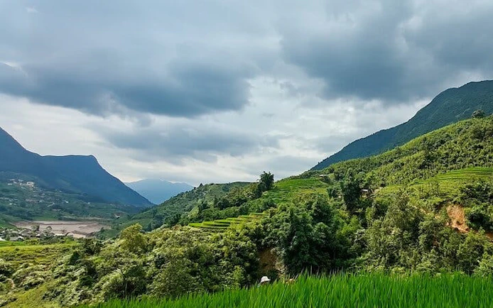Sapa terraced rice fields and lush green hills under cloudy sky.