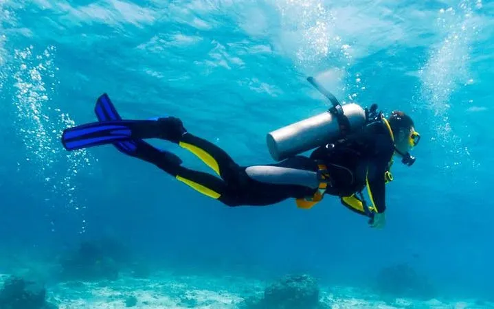 Professional Daily Diving Sea Trip Two Dives With Transfer and Lunch - Hurghada