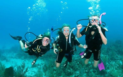 Scuba divers exploring coral reef on a boat trip in Hurghada.