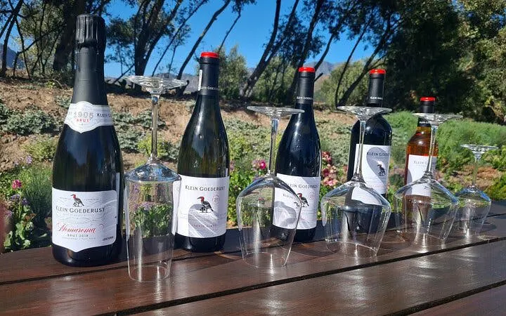 stellenbosch ve franschhoek özel şarap turu: şarap tadımı ve öğle yemeği dahil-7
