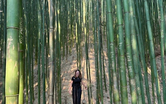 Person walking through dense bamboo forest in Mu Cang Chai during motorbike tour.