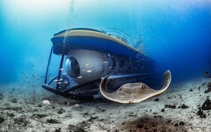 Submarine exploring ocean floor with stingray in Tenerife.