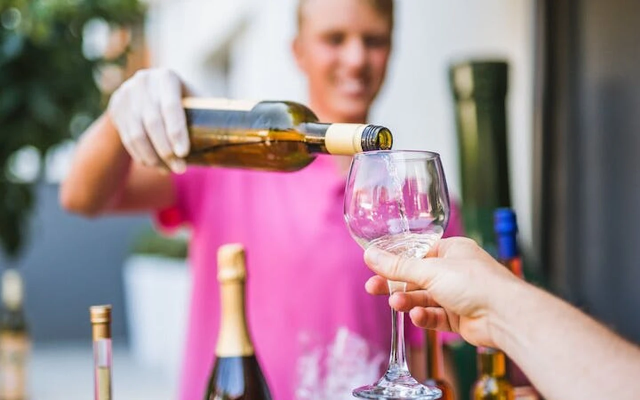 Tour dei vini a Korčula in minibus scoperto con degustazioni di vini in tre cantine e prelibatezze locali — 5
