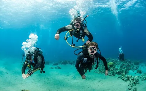 Divers exploring coral reefs in the Red Sea during an advanced diving course in Sharm El Sheikh.