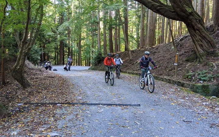 nara - privat tur på terrengsykkel, skjult tempel, natur, historiske steder og sport-9