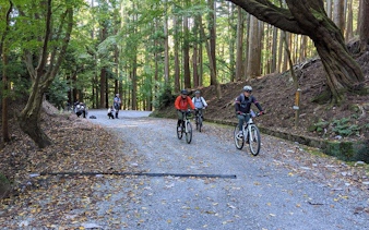 nara - private cross bike tour, hidden temple, nature, ancient sites, and sport-9