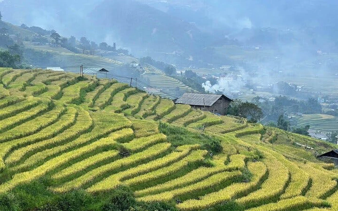 Terraced rice fields in Sapa with a traditional house, misty mountains in the background.
