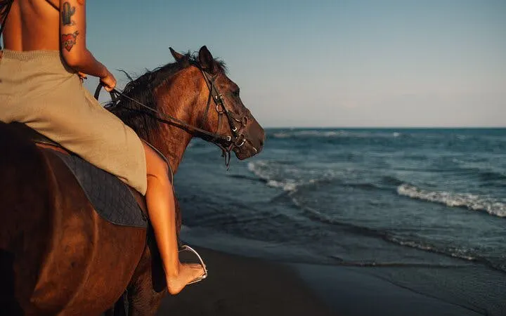 Horse Riding 2 Hours in Nabq Bay beach W/Transfer-Sharm El Sheikh Image 10