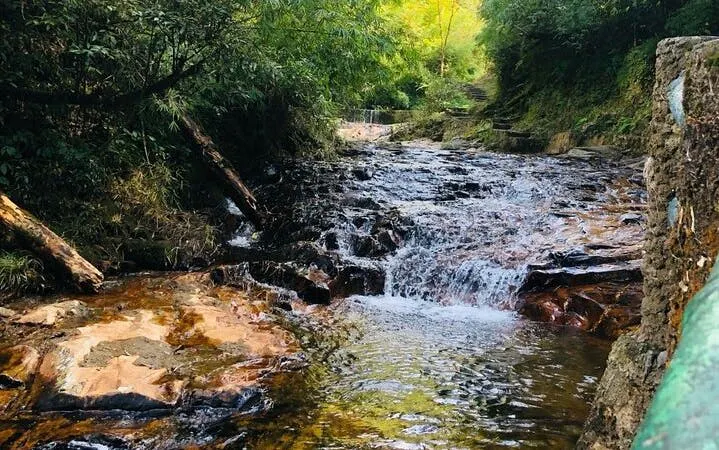 Waterfall surrounded by lush greenery on the Sa Pa Motorbike Tour in Vietnam.