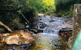 Waterfall surrounded by lush greenery on the Sa Pa Motorbike Tour in Vietnam.