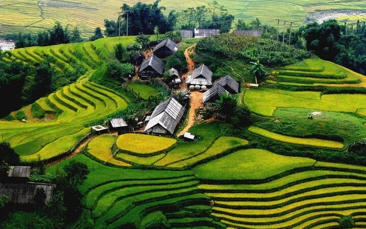 Terraced rice fields and traditional houses in Ta Phin Village, Sapa, Vietnam.
