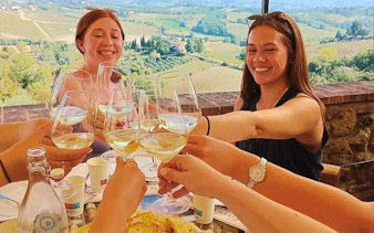 Small group toasting with wine at a Tuscan winery overlooking vineyards.