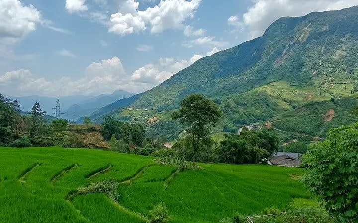 Sapa rice terraces with mountain backdrop, Vietnam trekking route.