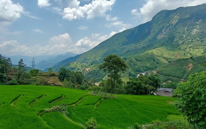 Sapa rice terraces with mountain backdrop, Vietnam trekking route.