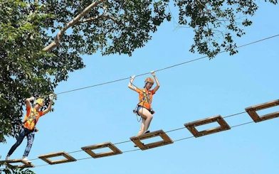Participants crossing a high rope course at Phoenix Zipline Adventure Park, Chiang Mai.
