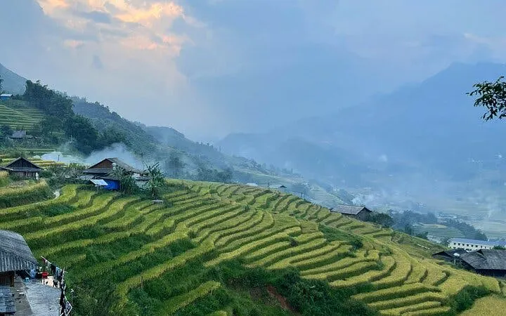 Terraced rice fields in Sapa with misty mountains, part of a private 2-day car tour with homestay in Ta Van.