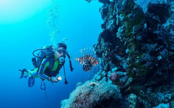 Scuba diver exploring coral reef with lionfish, Tiran Island, Sharm El Sheikh.