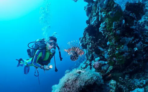 Scuba diver exploring coral reef with lionfish, Tiran Island, Sharm El Sheikh.