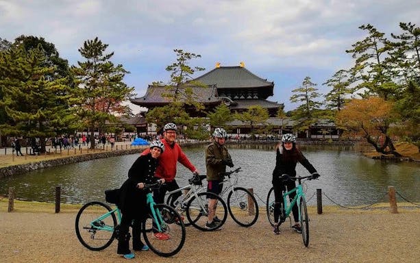 privétour per crossfiets voor gezinnen in nara, inclusief lunch-3