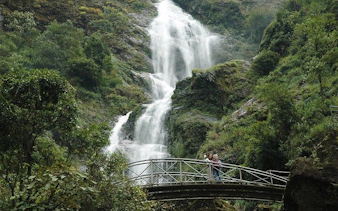 Silver Waterfall cascading behind a bridge surrounded by lush greenery.